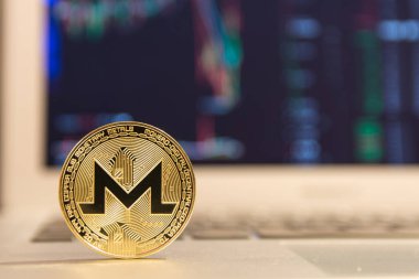  Gümüş laptop altın monero