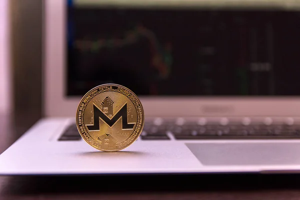 Monero Dorado Portátil Plata — Foto de Stock