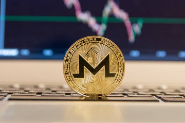  Gümüş laptop altın monero