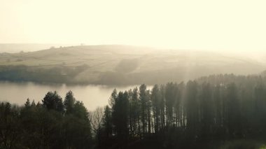 Kırsal göl ve çam ağaçları Tepesi İlçe Ulusal Parkı sisli bir günde zoom insansız hava aracı seçici odak noktası