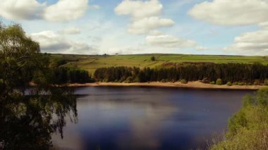 Tepe İlçesi Ulusal Parkı 'ndaki ağaçlar ve tarlalar çevresindeki göl mavi gökyüzü geniş 4k hava aracı seçici odak noktası