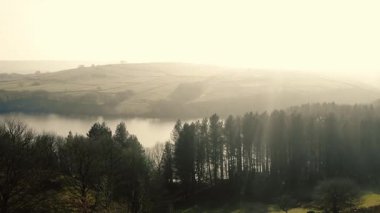 Kırsal göl ve çam ağaçları Tepesi İlçe Ulusal Parkı sisli bir günde zoom insansız hava aracı seçici odak noktası