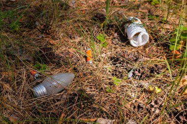 Ormanda tehlikeli çöp dökümü