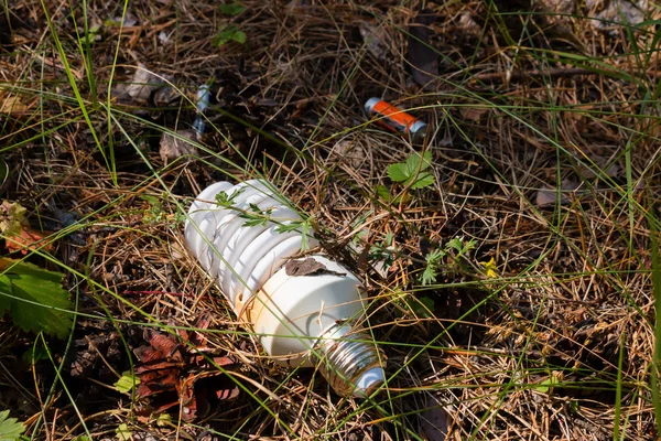 light bulb and batteries - hazardous waste in the woods