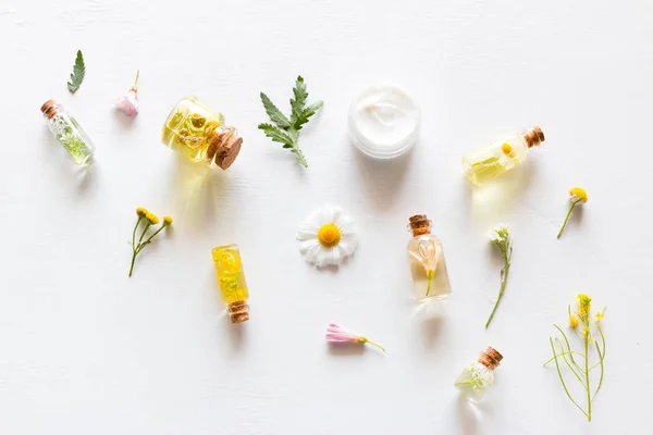 Natuurlijke Cosmetica Voor Verzorging Van Het Gezicht Lichaam Met Kruideningrediënten — Stockfoto