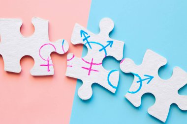 cinsiyet sembolleri ile bölünmüş puzzle parçaları. cinsiyet eşitliği kavramı