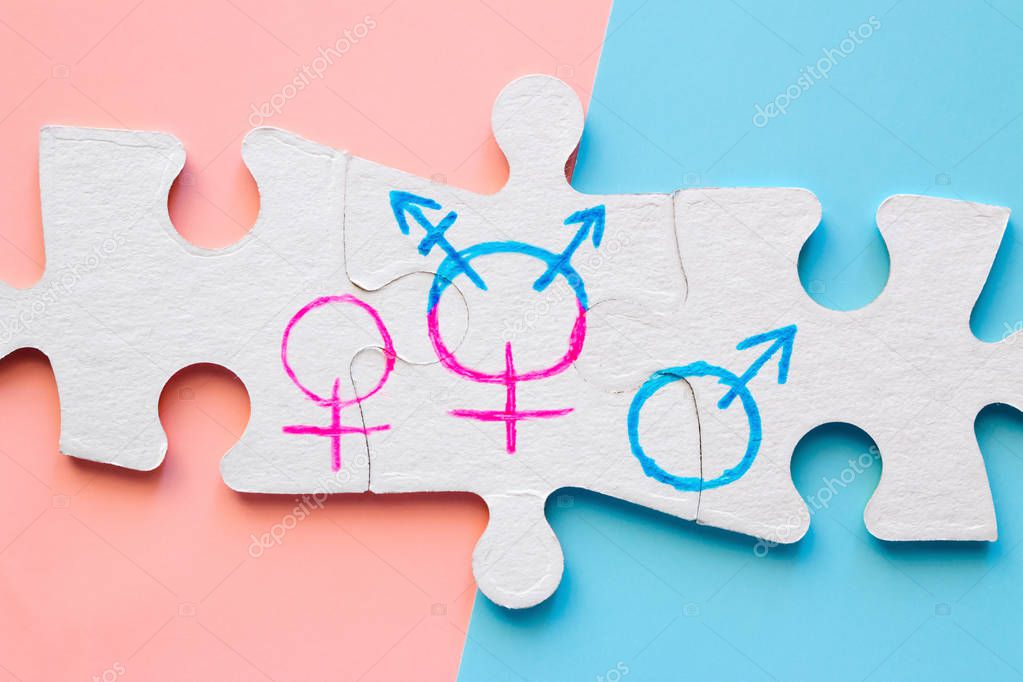 Símbolos De Género En El Concepto De Rompecabezas Igualdad Sexual 2022