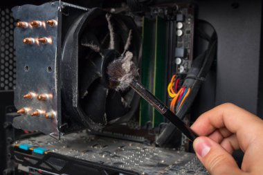 bilgisayar bilim adamı kişisel bilgisayarın donanım üzerinde ne kadar toz gösterir