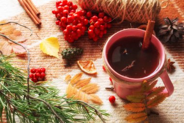 Sonbahar arka planında baharatlı bir fincan sıcak çay dökülen renkli yapraklar, yünlü ekose kaplama konsepti üzerinde yaban mersini ve koni merhaba güz