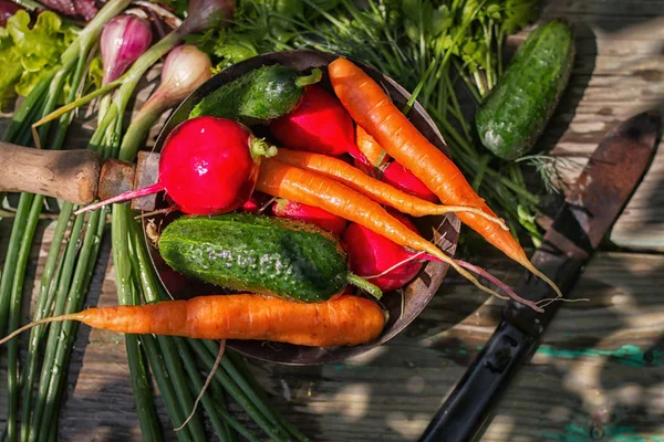 Fresh Homemade Vegetables Rural Harvest Selective Focus — Stock Photo, Image