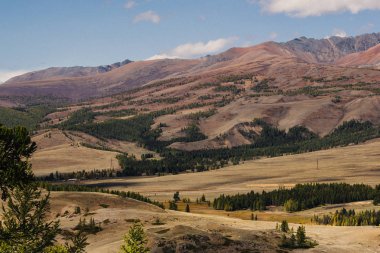 Tepeler ve dağ Vadisi ormanda kar manzaralarını şapkalı