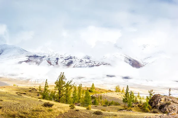 厚い雲の下の山の範囲のビュー 丘の風景 山谷の松の木 秋ムードへの旅 — ストック写真