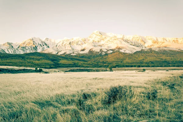 Vistas Los Picos Nevados Bosque Valle Montañoso —  Fotos de Stock