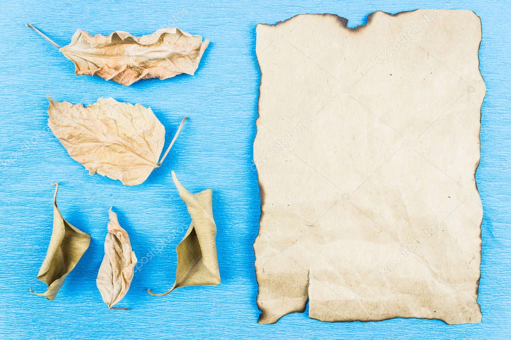 A sheet of old papyrus, Kraft paper as a background on a blue table. Copy space for text