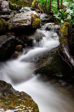 Dağ şelale yaz orman içinde. Nehir ile ıslak taşlar ve kıyıdaki tesisleri.
