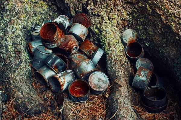 Rusty Old Metal Cans Canned Food Tree Pollution Forest Impact — Stock Photo, Image