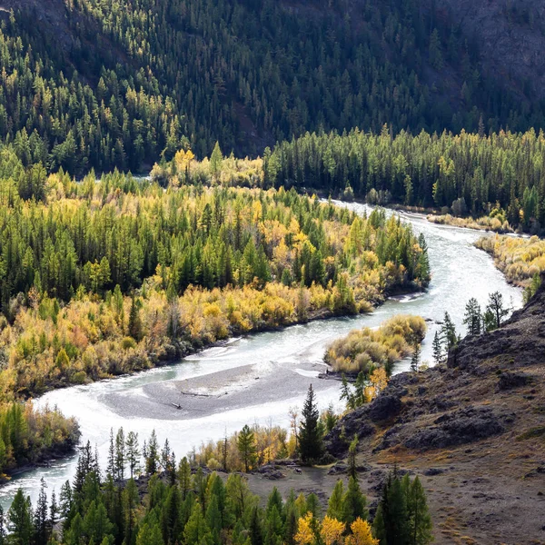Зіткнення Річки Гірській Долині Подорож Алтаю — стокове фото