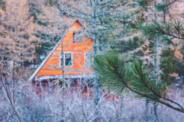 Çam ormanı ahşap evde. Bina ağaçların arkasında gizlidir. Açık rekreasyon. Gizemli evi, gizli avcı kulübesi.