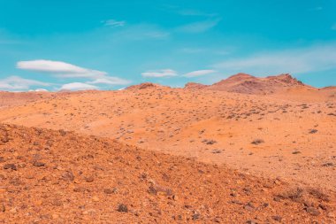 Bozkır sarı kum ile düz. Sıcak güneşin altında sarı toprak. Dağ boş Vadisi. Seyahat altay.