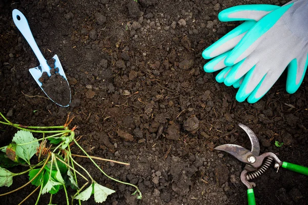 Frühlingsarbeit Garten Gartengeräte Baumschneidehandschuhe Und Schaufel Auf Frischem Boden Vorbereitung — Stockfoto