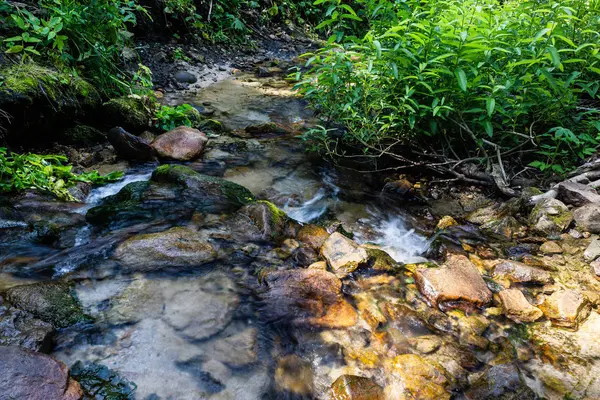 Arroyo Montaña Día Soleado Río Bosque Con Bancos Verdes — Foto de Stock