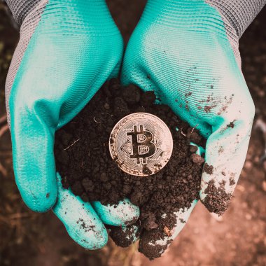 Ellerini, Bitcoin kar büyüme, zenginlik sembolü. Para kazanmak. Bahçe eldiven sikke.