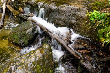 Dağ şelale yaz orman içinde. Nehir ile ıslak taşlar ve kıyıdaki tesisleri.