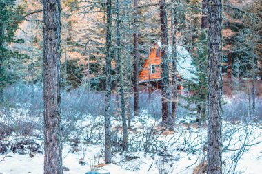 Çam ormanı ahşap evde. Bina ağaçların arkasında gizlidir. Açık rekreasyon. Gizemli evi, gizli avcı kulübesi.