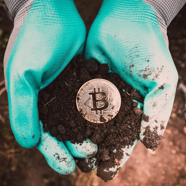 Bitcoin in the hands, a symbol of profit growth, wealth. Making money. Coin in garden gloves.