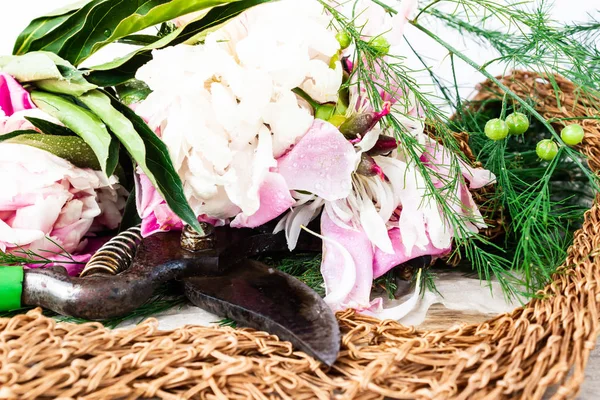 Bouquet Peonies Old Pruner Wooden Table — Stock Photo, Image