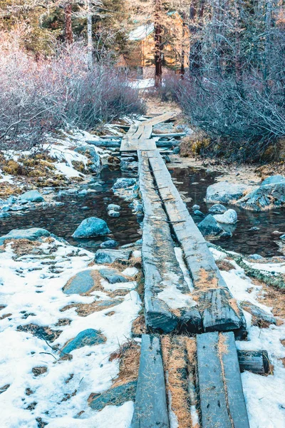 Стежка Лісі Над Гірським Потоком Міст Дощок Під Снігом — стокове фото