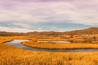 Sarı çim nehirde bend. Altın Sonbahar dağ Vadisi. Ufuk buzlu kar