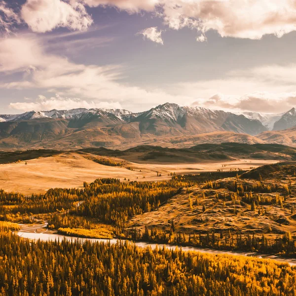 Böjar Med Floden Bergsdal Resa Till Altai — Stockfoto