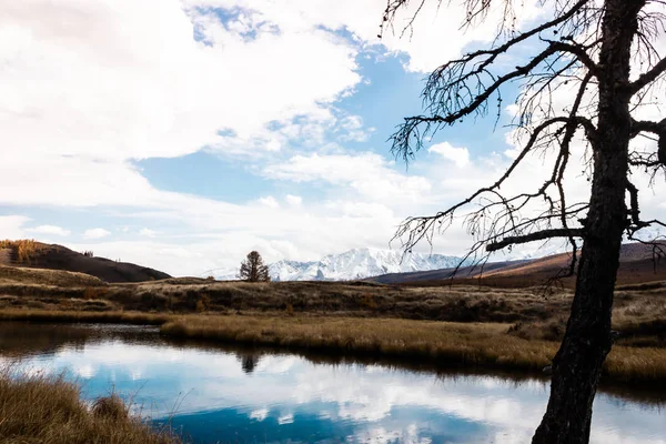 Árbol Solitario Seco Junto Río Otoño Valle Montañoso Símbolo Soledad — Foto de Stock