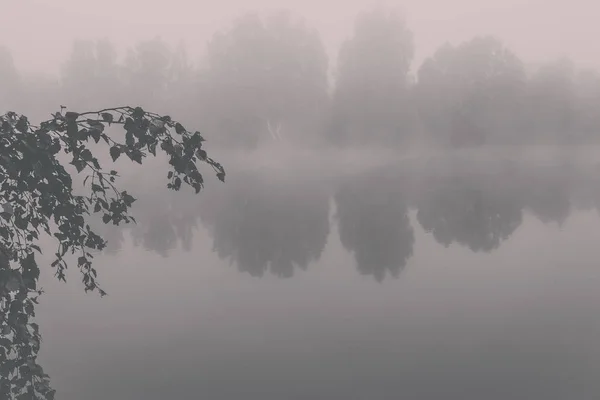 Nebliger Morgen Auf Dem Fluss Bäume See Geheimnisvoller Fischteich — Stockfoto