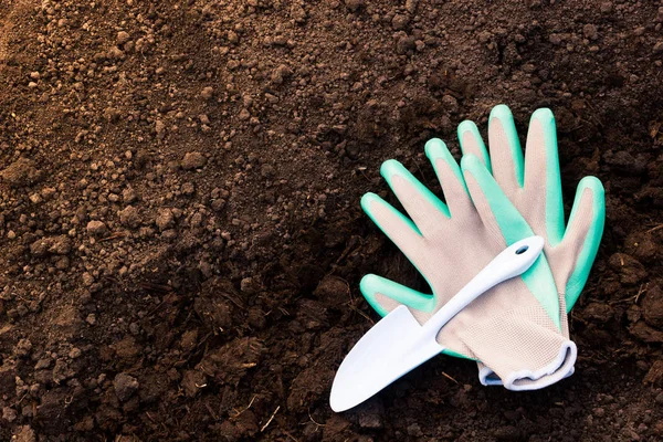 Gartenhandschuhe Und Schaufel Auf Frischem Boden Frühjahrsgärtnern Pflanzen Pflanzen — Stockfoto