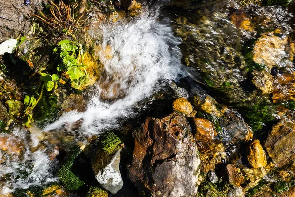 Гірський Потік Сонячний День Річка Лісі Зеленими Берегами — стокове фото