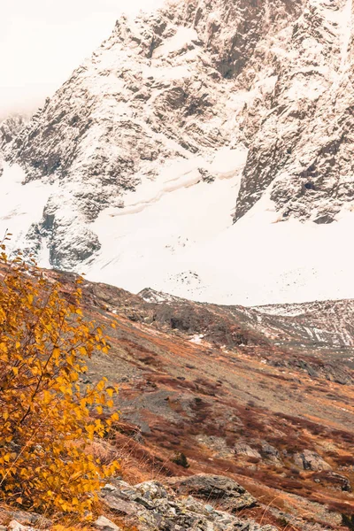 Redhaired Úbočí Žlutých Trávě Podzimní Údolí Skály Pod Sněhem Obzoru — Stock fotografie
