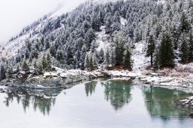 Winter lake, snow in coniferous forest on shore of mountain lake