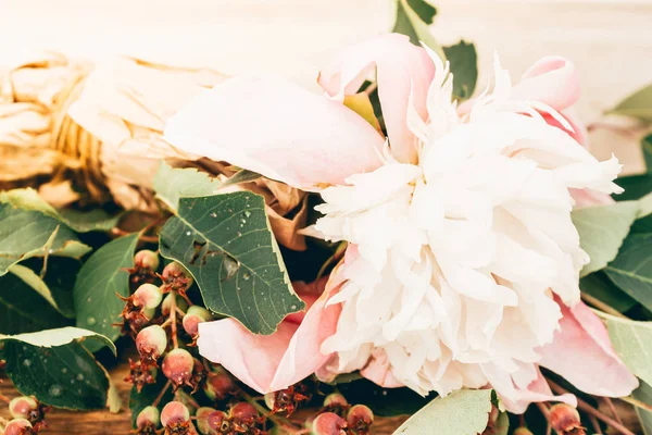 Zöld Amelanchier Bogyók Pünkösdi Rózsa Virág Érlelő Bogyók Tavaszi Kert — Stock Fotó