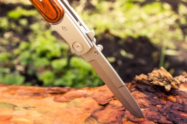 Ağaç gövdesinde kamp bıçağı