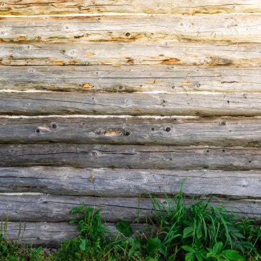 Wooden wall of house with growing grass