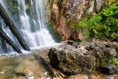 Dağ şelale yaz orman içinde. Nehir ile ıslak taşlar ve kıyıdaki tesisleri.