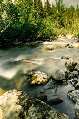 Hızlı dağ nehir taşları akışı ile