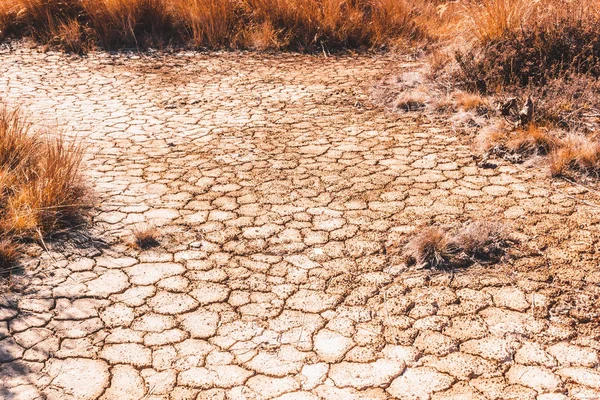 Solo Seco Rachado Vazio Falta Água Necessidade Recuperação Terras Aquecimento — Fotografia de Stock