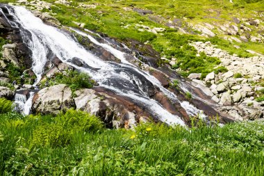 Bahar şelale dağ Vadisi. Yeşil kıyıları ile hızlı Nehri