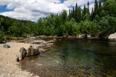 Kayalar ve ormanlar arasında hızlı dağ nehri