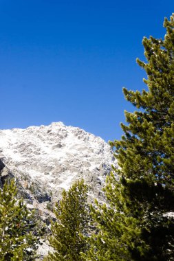 Dağ vadisinde karlı tepeler ve iğne yapraklı orman