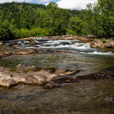 Hızlı dağ nehir taşları akışı ile