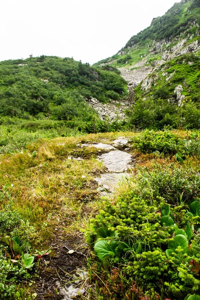 夏の山の谷 山頂の岩と緑の草 — ストック写真